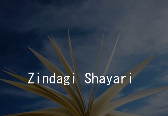 Zindagi Shayari