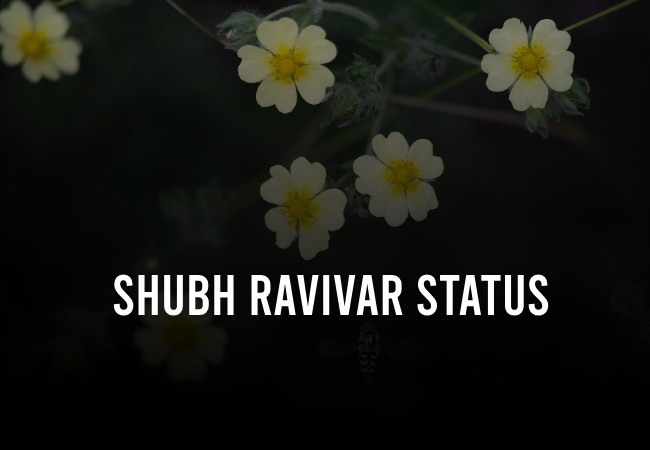 Shubh Ravivar Status