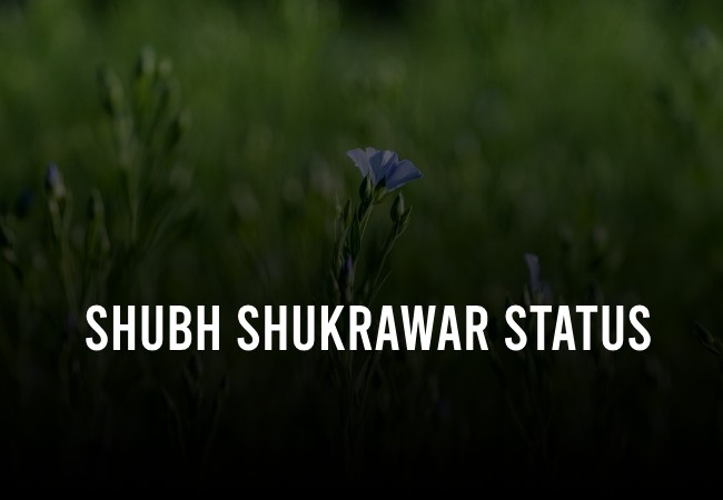 Shubh Shukrawar Status