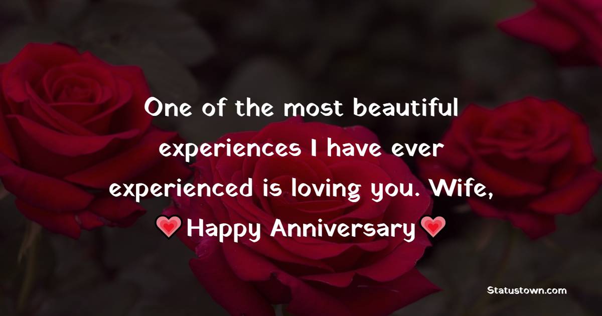 One of the most beautiful experiences I have ever experienced is loving you. Wife, happy anniversary! - 13th Anniversary Wishes