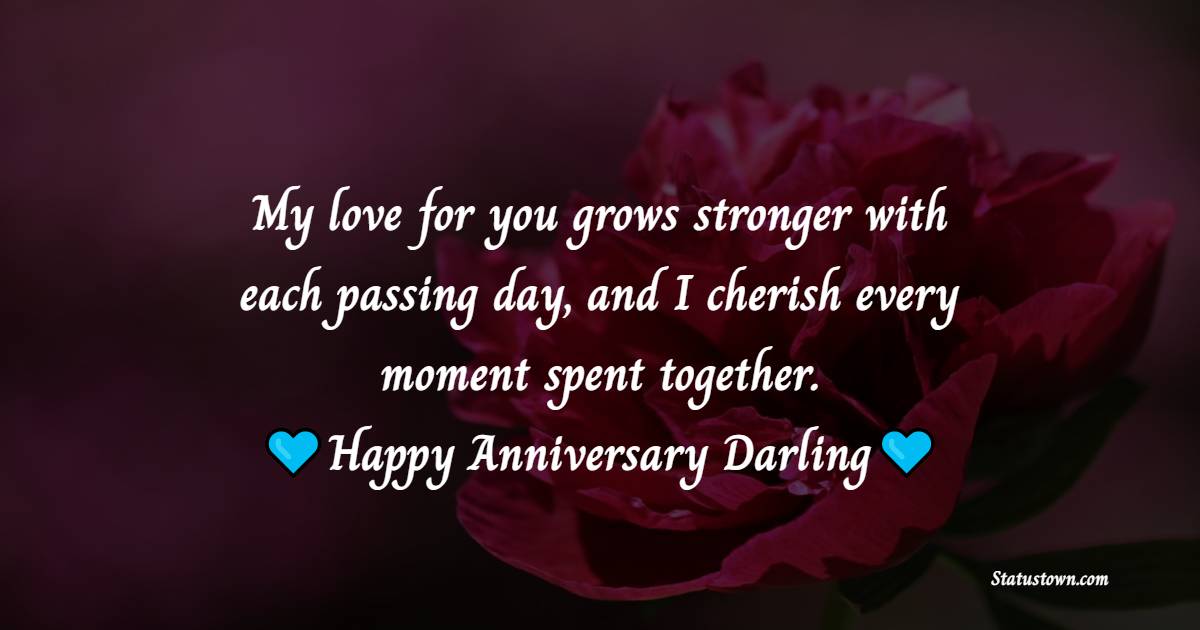 My love for you grows stronger with each passing day, and I cherish every moment spent together. Happy anniversary darling! - 24th Anniversary Wishes