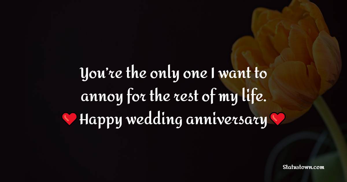 You’re the only one I want to annoy for the rest of my life. Happy wedding anniversary! - 30th Anniversary Wishes