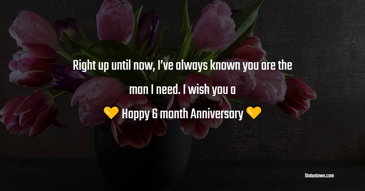 Right up until now, I’ve always known you are the man I need. I wish you a happy anniversary, my love! - 6 month anniversary Wishes 
