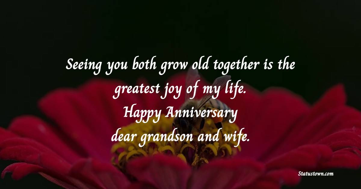 Anniversary Wishes for Grandson and Wife