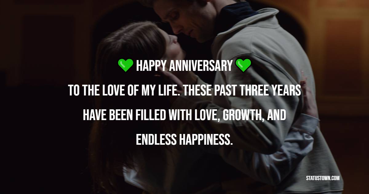 Happy anniversary to the love of my life. These past three years have been filled with love, growth, and endless happiness. - Romantic 3rd Anniversary Wishes