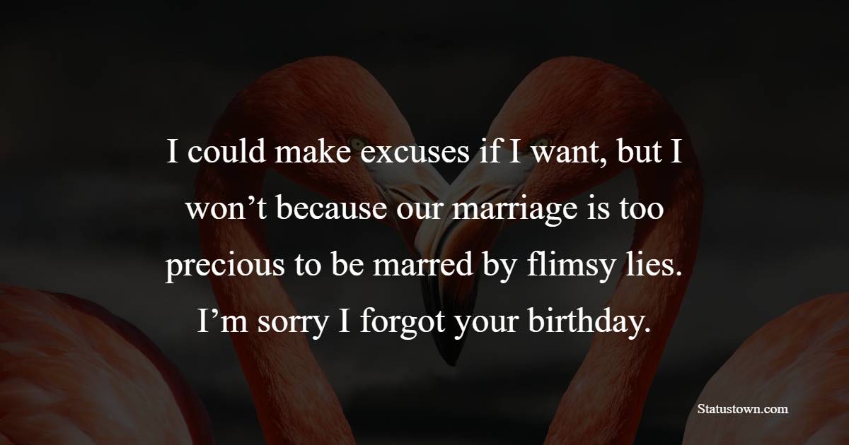 I could make excuses if I want, but I won’t because our marriage is too precious to be marred by flimsy lies. I’m sorry I forgot your birthday. - Belated Birthday Wishes for Wife