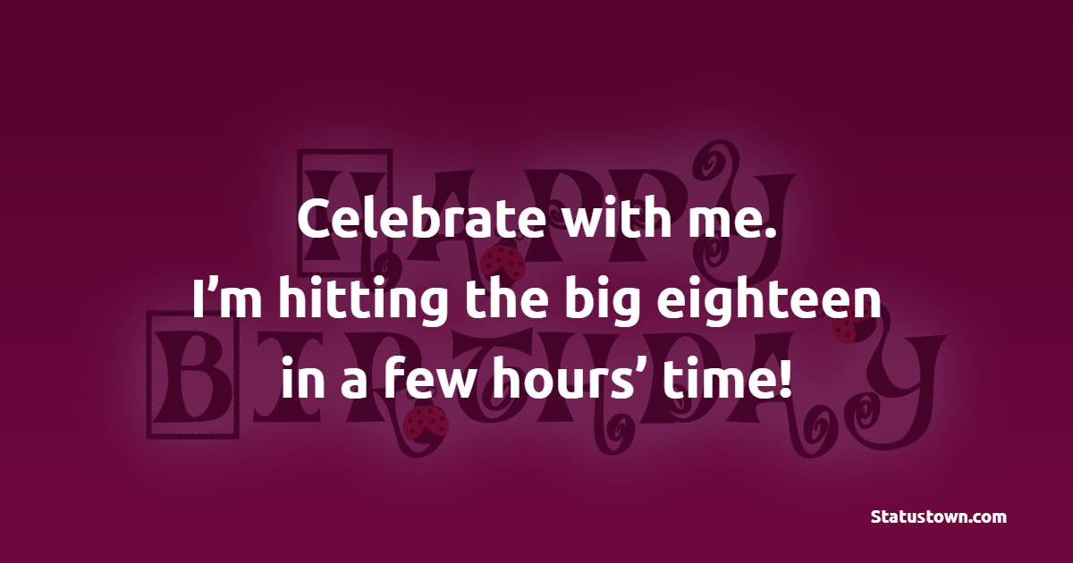 Celebrate with me. I’m hitting the big eighteen in a few hours’ time! - Birthday Countdown Captions