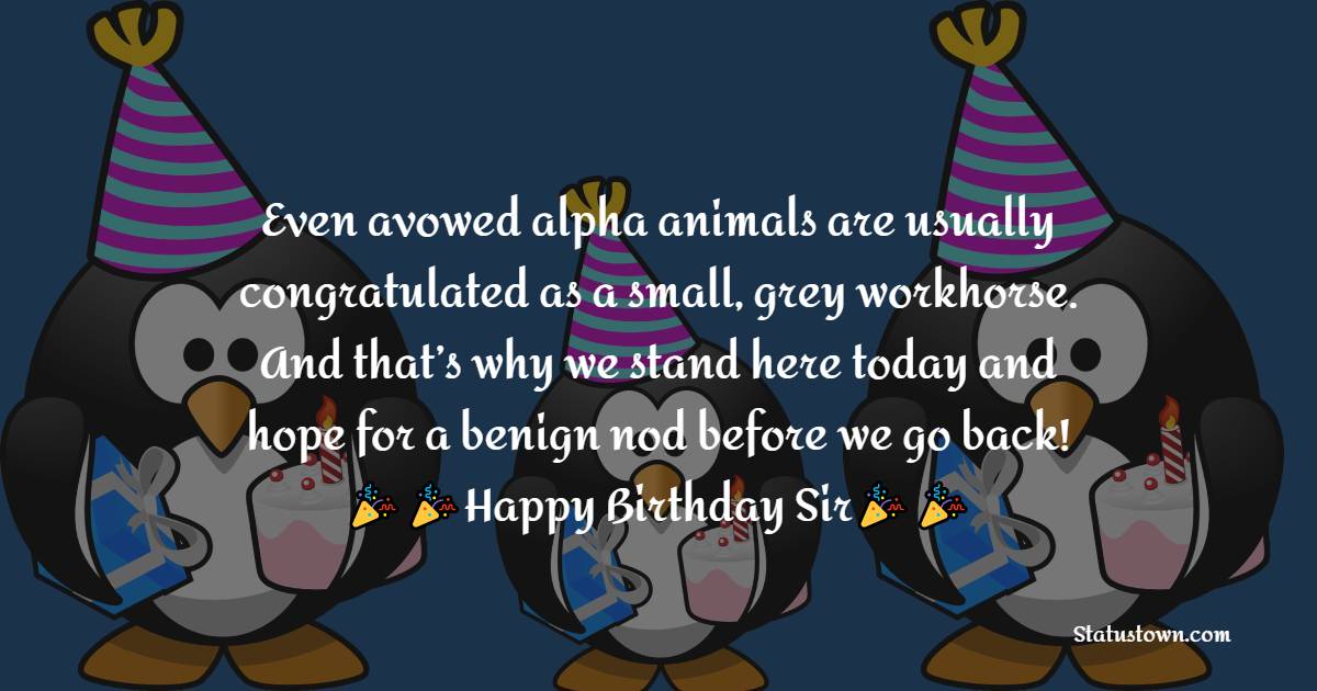   Even avowed alpha animals are usually
congratulated
as a small, gray workhorse.
And that’s why we stand here today
and hope for a benign nod
before we go back!   - Birthday Wishes for Boss