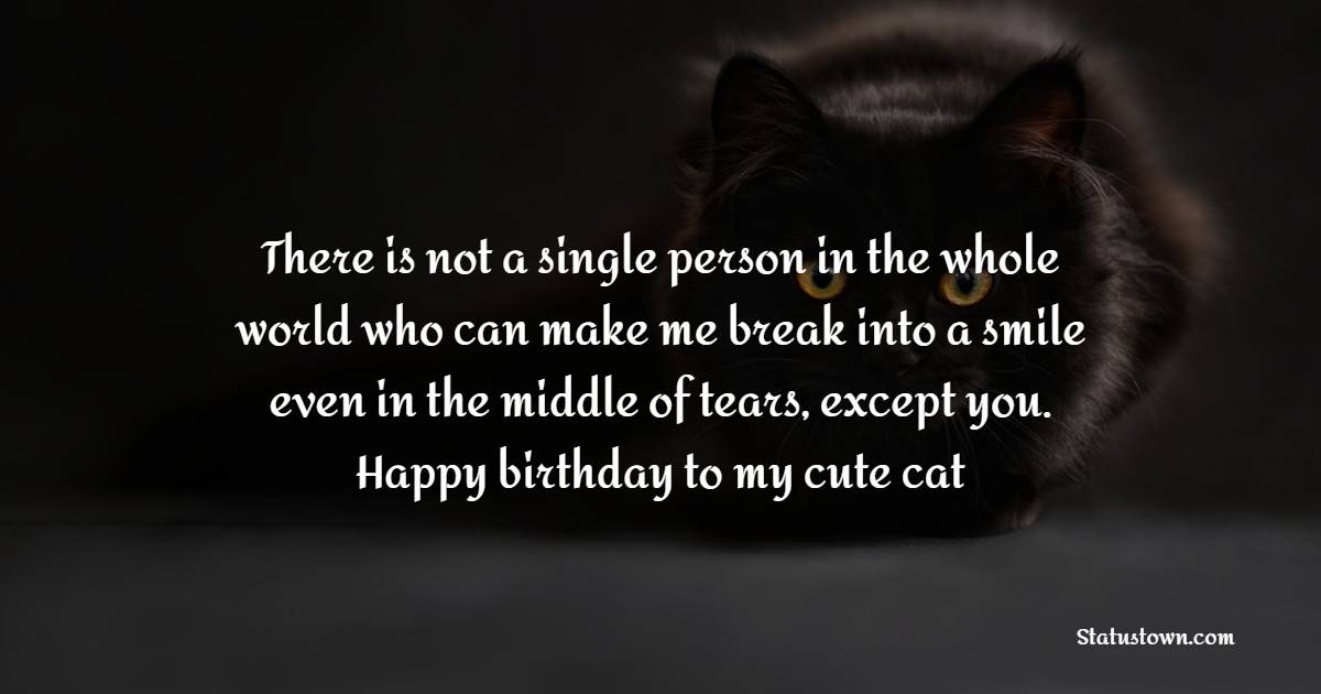Nice Birthday Wishes for Cat