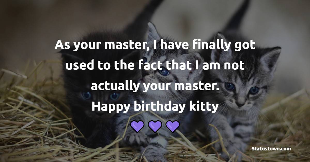 Birthday Status for Cat