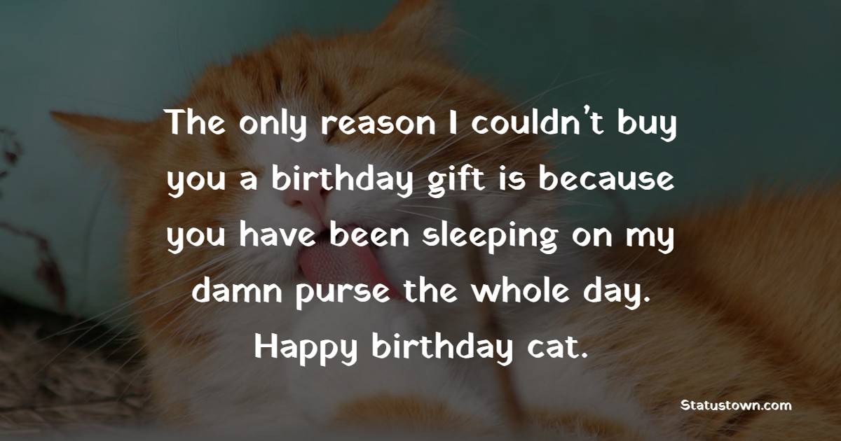 The only reason I couldn’t buy you a birthday gift is because you have been sleeping on my damn purse the whole day. Happy birthday cat. - Birthday Wishes for Cat