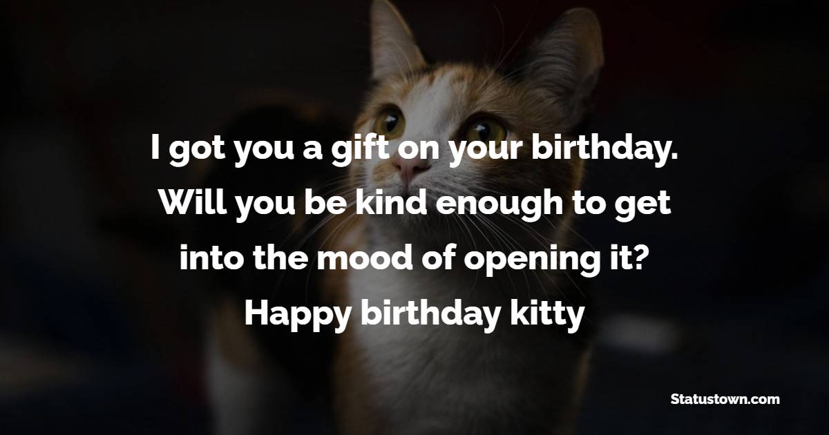 I got you a gift on your birthday. Will you be kind enough to get into the mood of opening it? Happy birthday, kitty. - Birthday Wishes for Cat