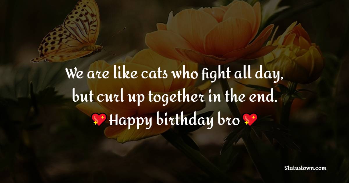 Deep Birthday Wishes for Cousin Brother