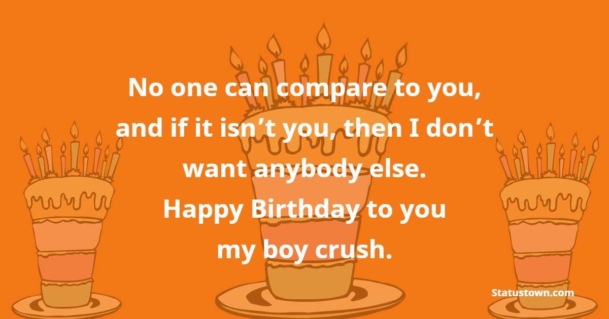 No one can compare to you, and if it isn’t you, then I don’t want anybody else. Happy Birthday to you my boy crush. - Birthday Wishes for Crush