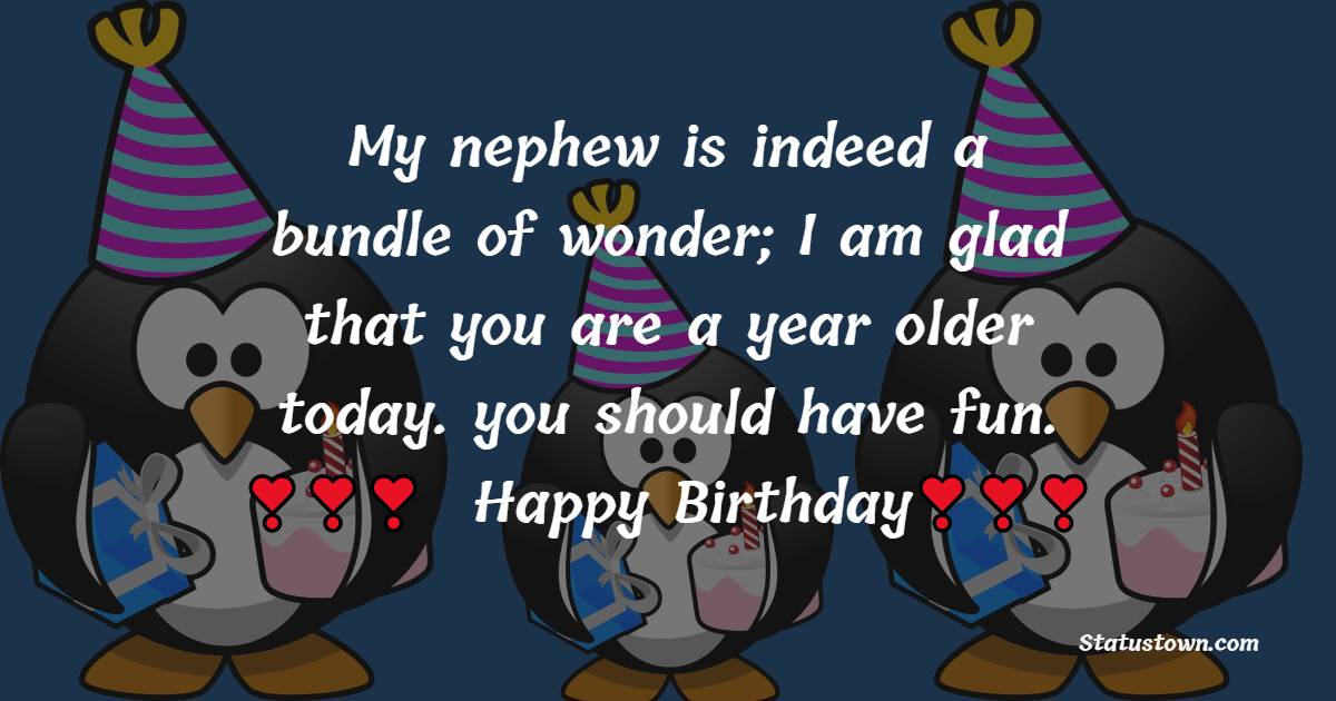  My nephew is indeed a bundle of wonder; I am glad that you are a year older today. you should have fun.  - Birthday Wishes for Nephew