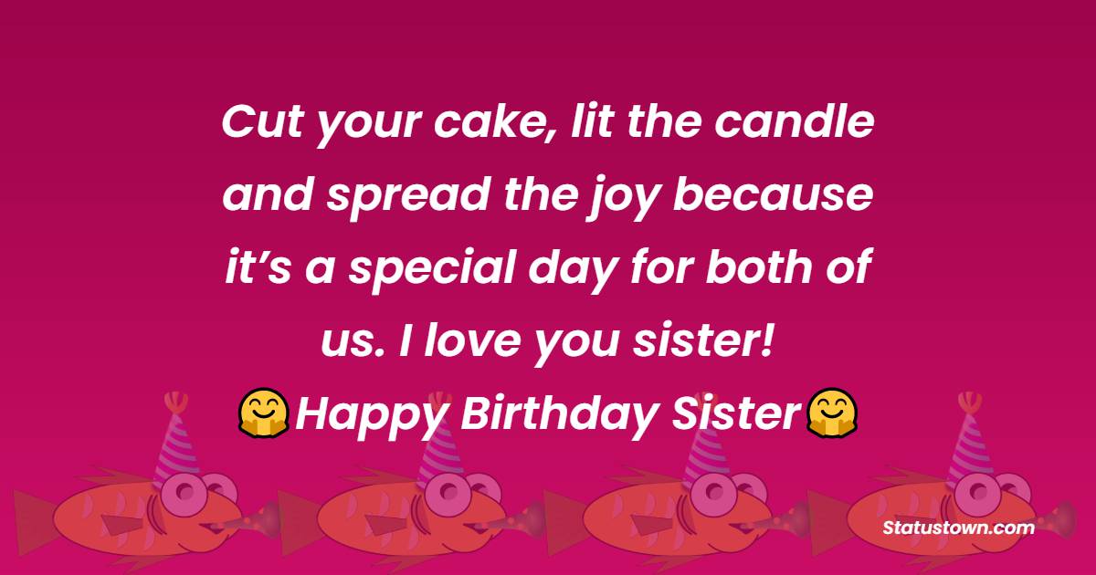  Cut your cake, lit the candle and spread the joy because it’s a special day for both of us. I love you sister!  - Birthday Wishes for Sister