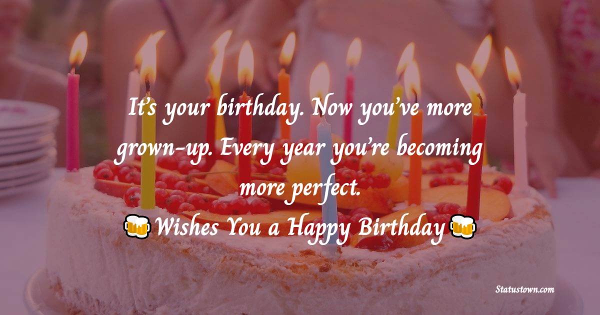  It’s your birthday. Now you’ve more grown up. Every year you’re becoming more perfect.    - Happy Birthday Wishes