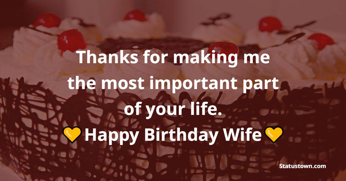 Lovely Birthday WhatsApp Status  for  Wife
