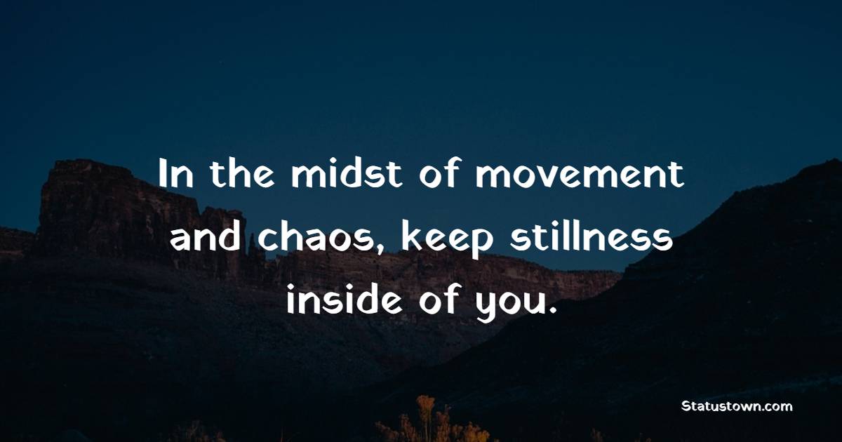 In the midst of movement and chaos, keep stillness inside of you. - Back up Quotes 