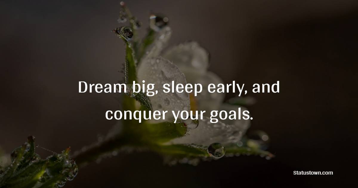 Dream big, sleep early, and conquer your goals. - Early Sleep Quotes 