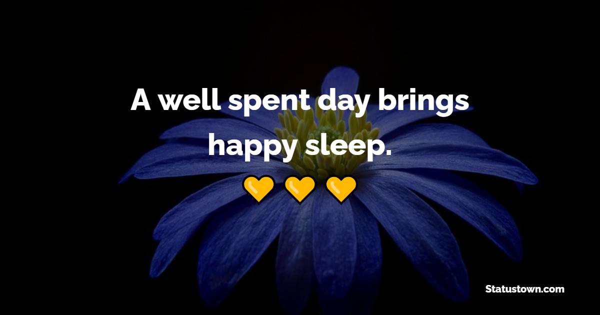 A well spent day brings happy sleep. - Early Sleep Quotes 