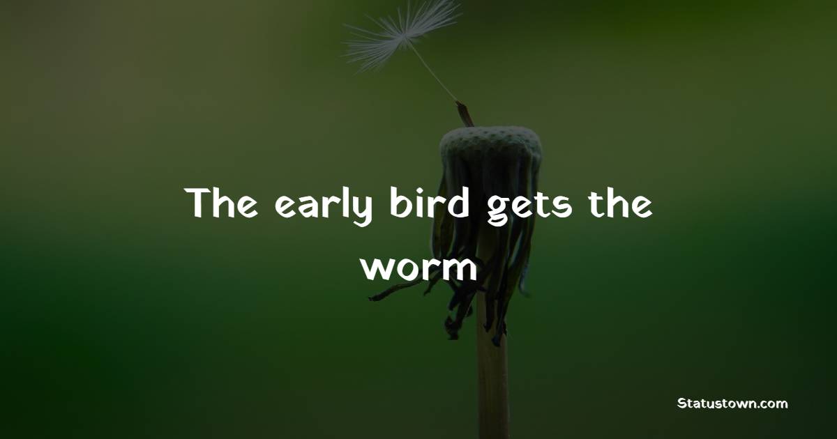 The early bird gets the worm