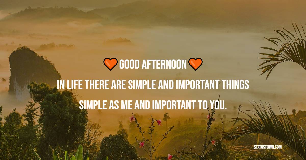 Good afternoon In life there are simple and important things Simple as me and important to you. - Good Afternoon Messages