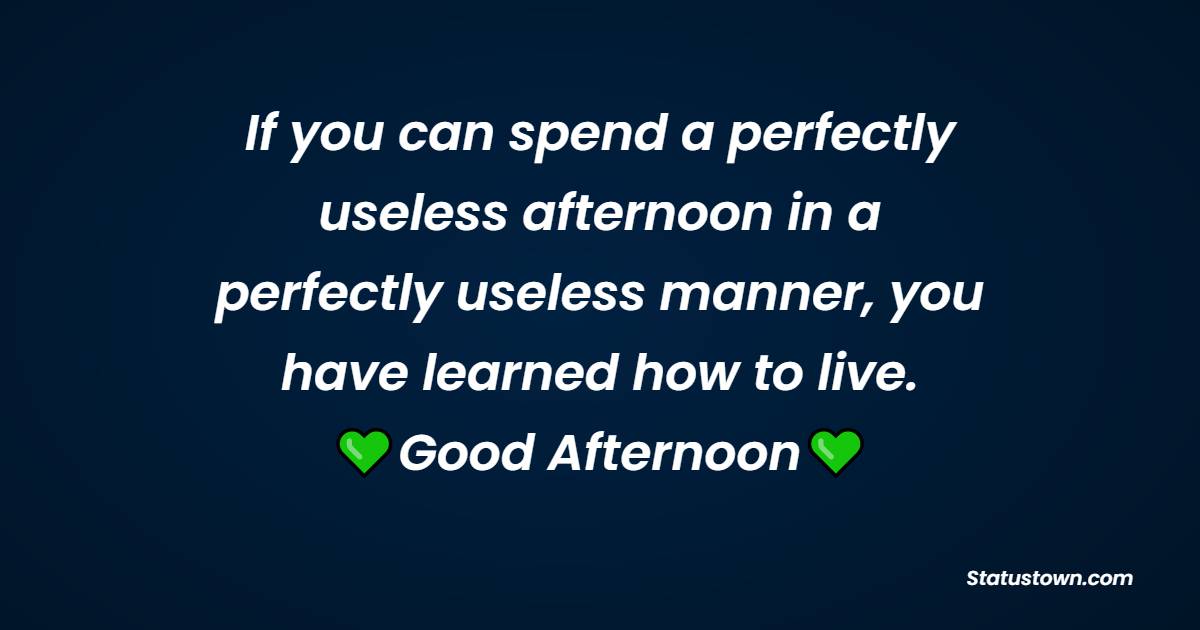 If you can spend a perfectly useless afternoon in a perfectly useless manner, you have learned how to live. - Good Afternoon Quotes