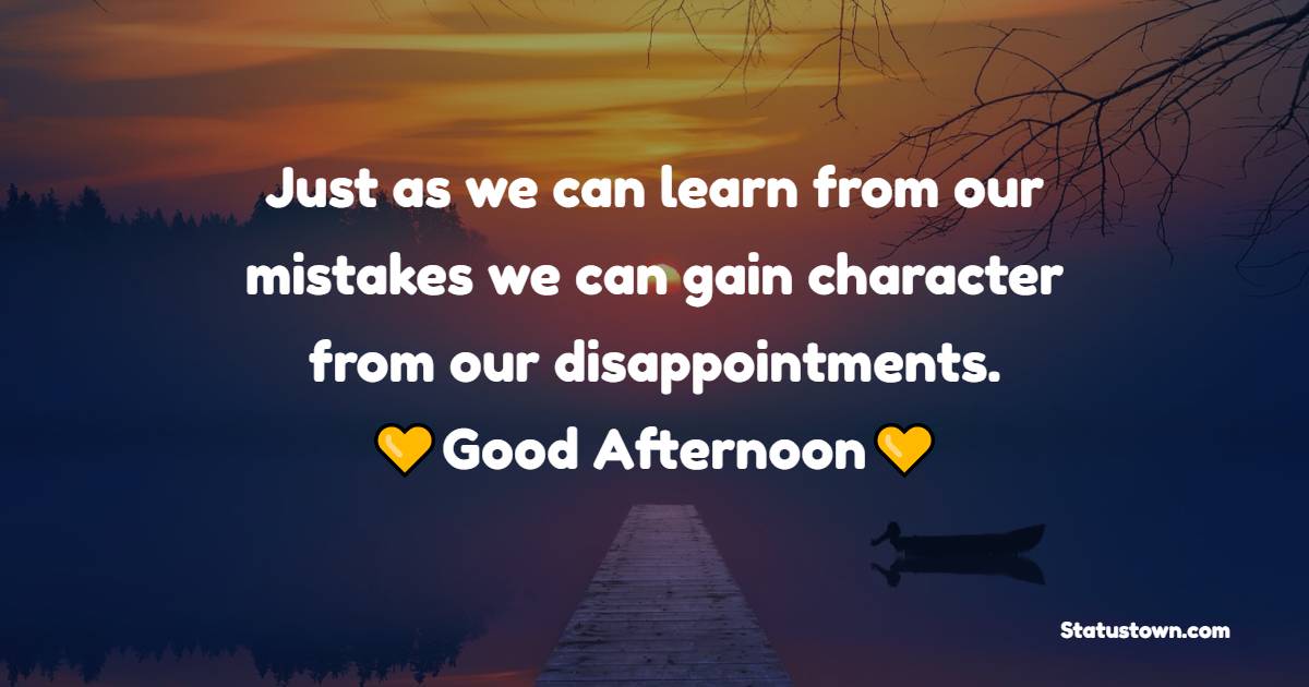 Just as we can learn from our mistakes we can gain character from our disappointments. Good Afternoon!