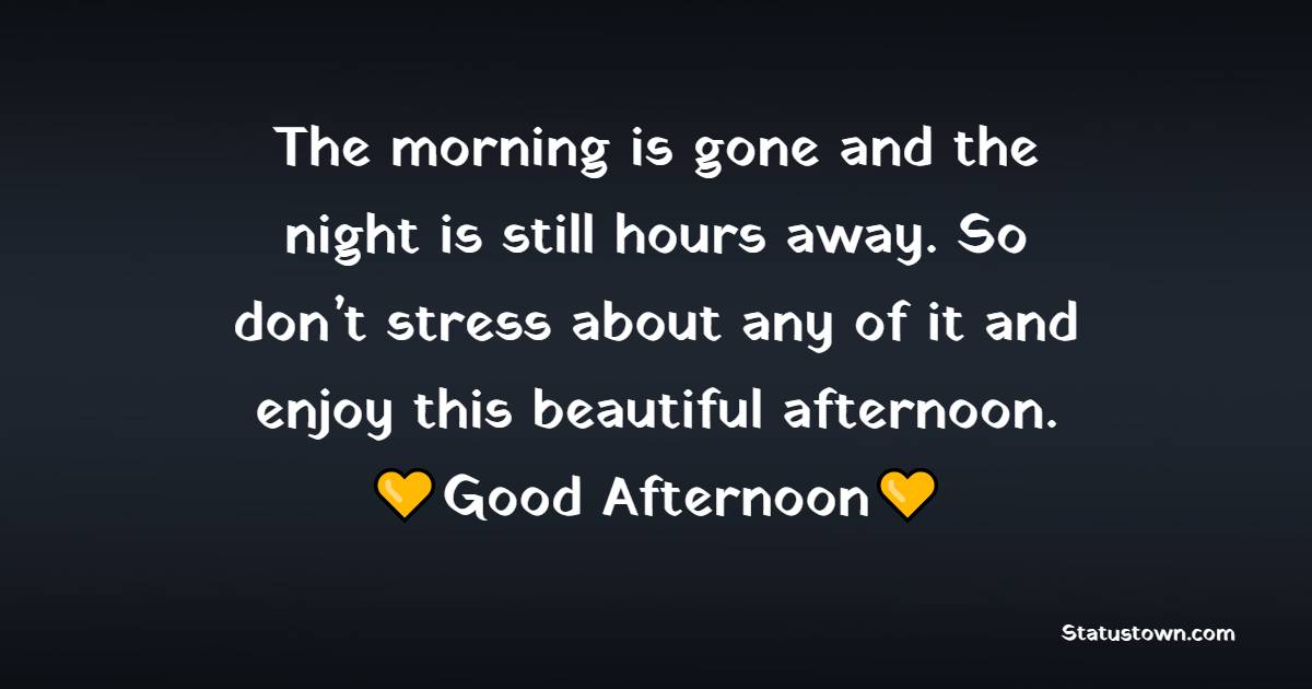 The morning is gone and the night is still hours away. So don’t stress about any of it and enjoy this beautiful afternoon. - Good Afternoon Quotes 