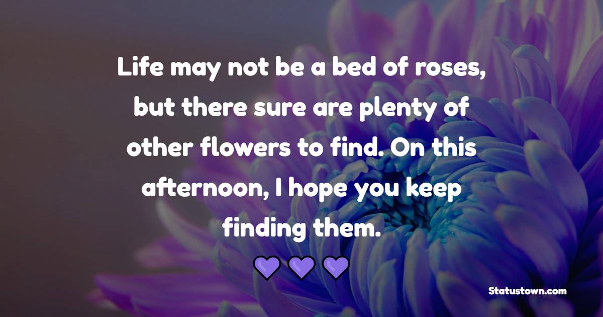 Life may not be a bed of roses, but there sure are plenty of other flowers to find. On this afternoon, I hope you keep finding them.