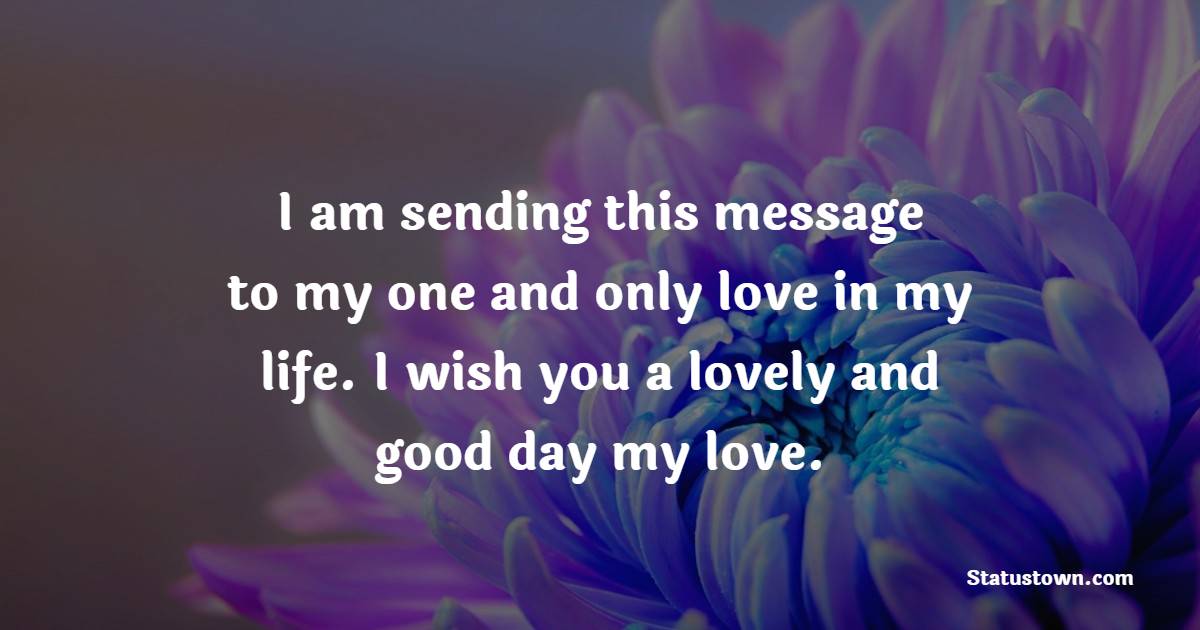 I am sending this message to my one and only love in my life. I wish you a lovely and good day my love.