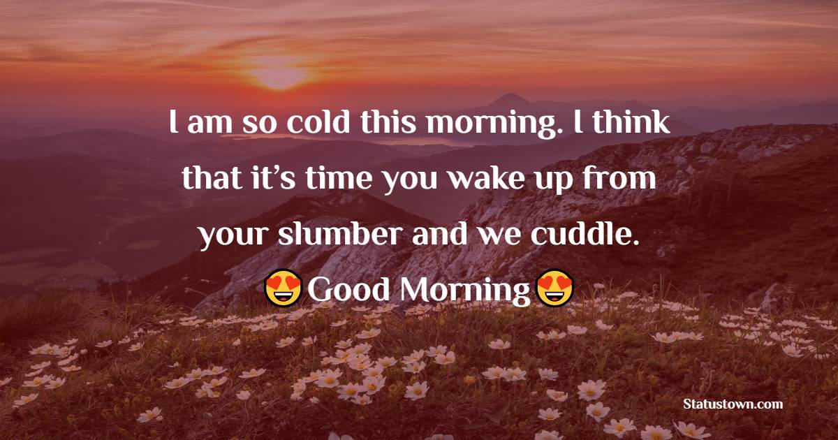 I am so cold this morning. I think that it’s time you wake up from your slumber and we cuddle. - Romantic Good Morning Messages 