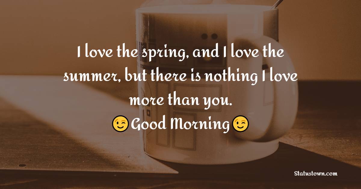 I love the spring, and I love the summer, but there is nothing I love more than you. - Romantic Good Morning Messages 