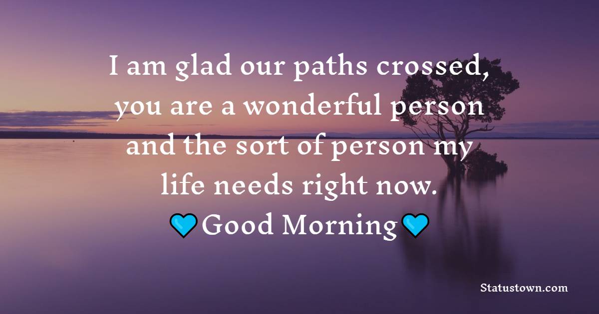 I am glad our paths crossed, you are a wonderful person and the sort of person my life needs right now. - Good Morning Message For Friends 