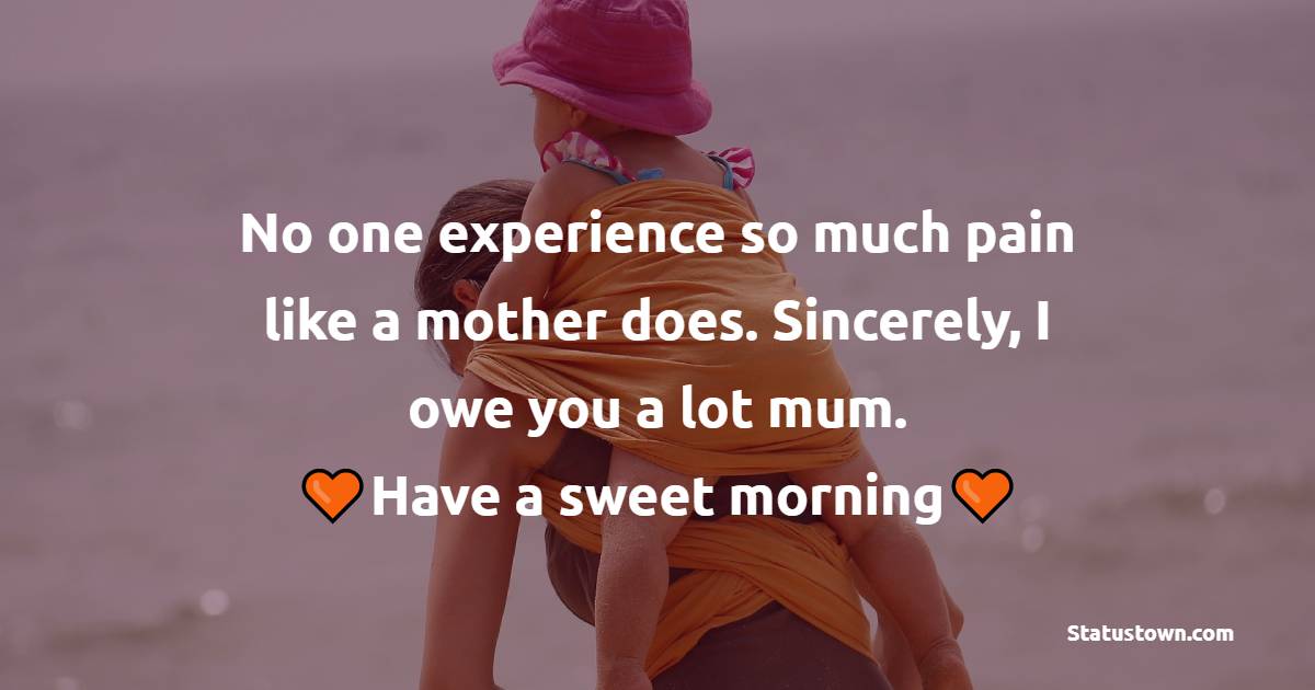 No one experience so much pain like a mother does. Sincerely, I owe you a lot, mum. Have a sweet morning! - Good Morning Messages For mom