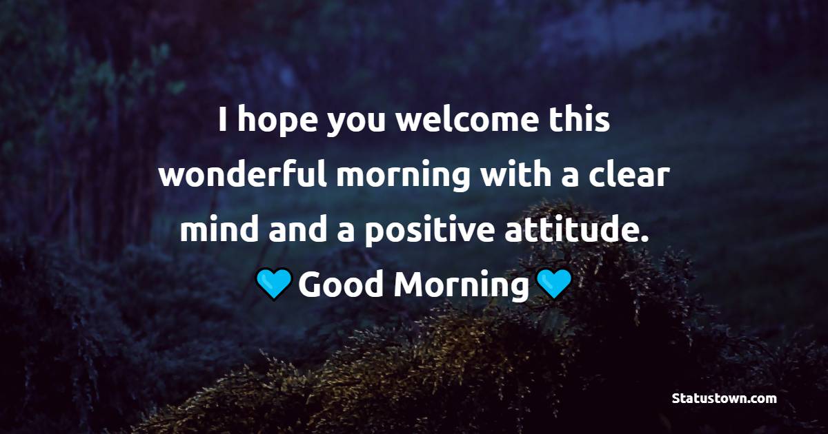 I hope you welcome this wonderful morning with a clear mind and a positive attitude. - Good Morning Messages for Aunt 