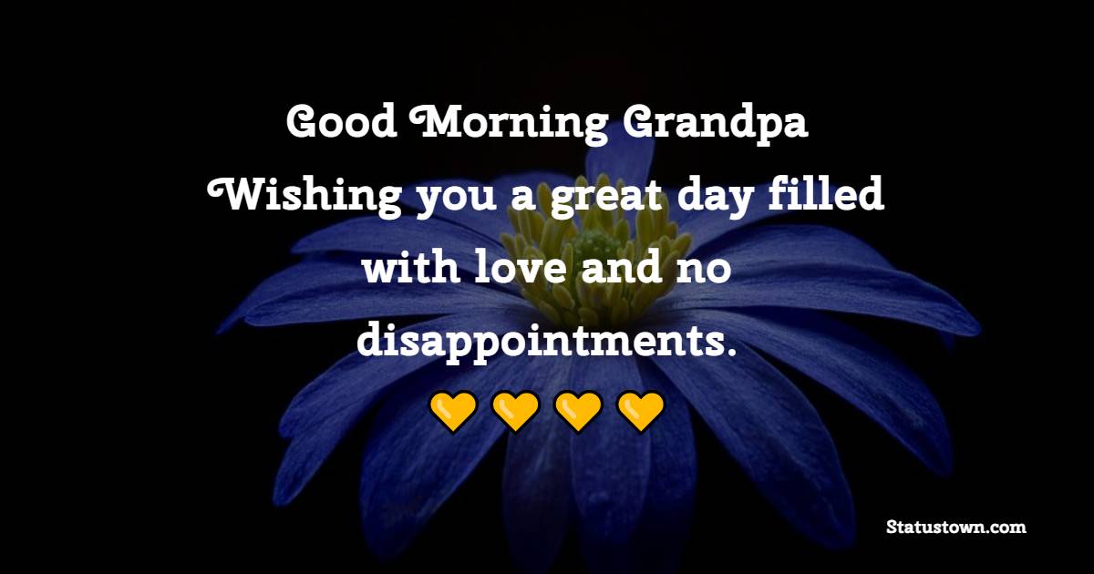 Good morning grandpa. Wishing you a great day filled with love and no disappointments.
