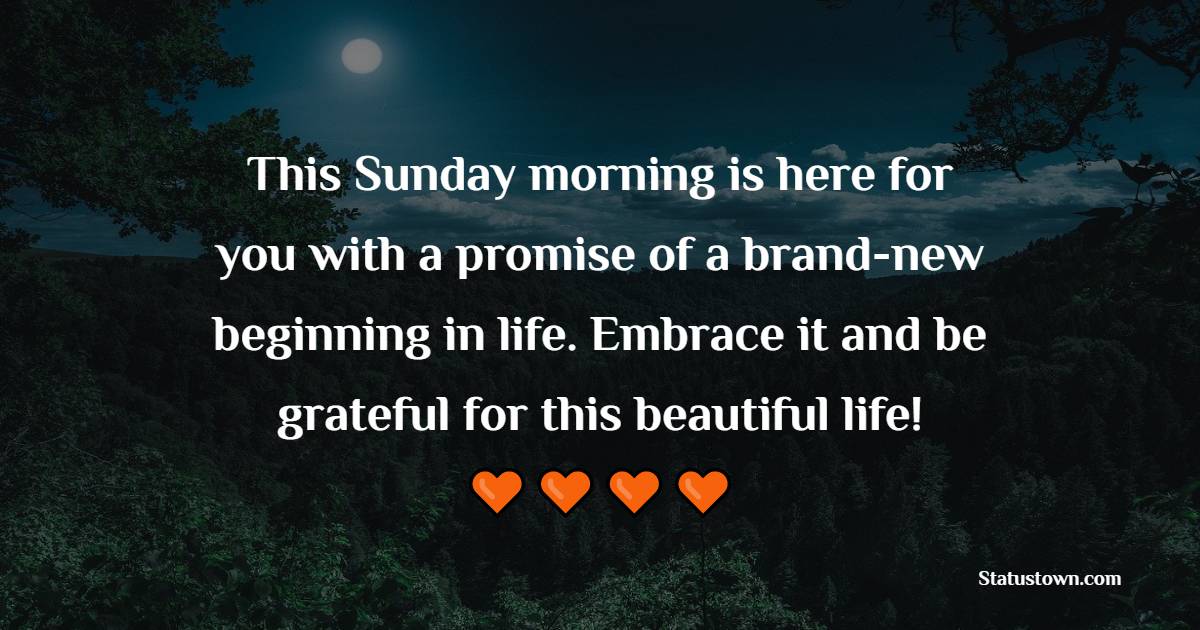 This Sunday morning is here for you with a promise of a brand-new beginning in life. Embrace it and be grateful for this beautiful life! - Happy Sunday Messages