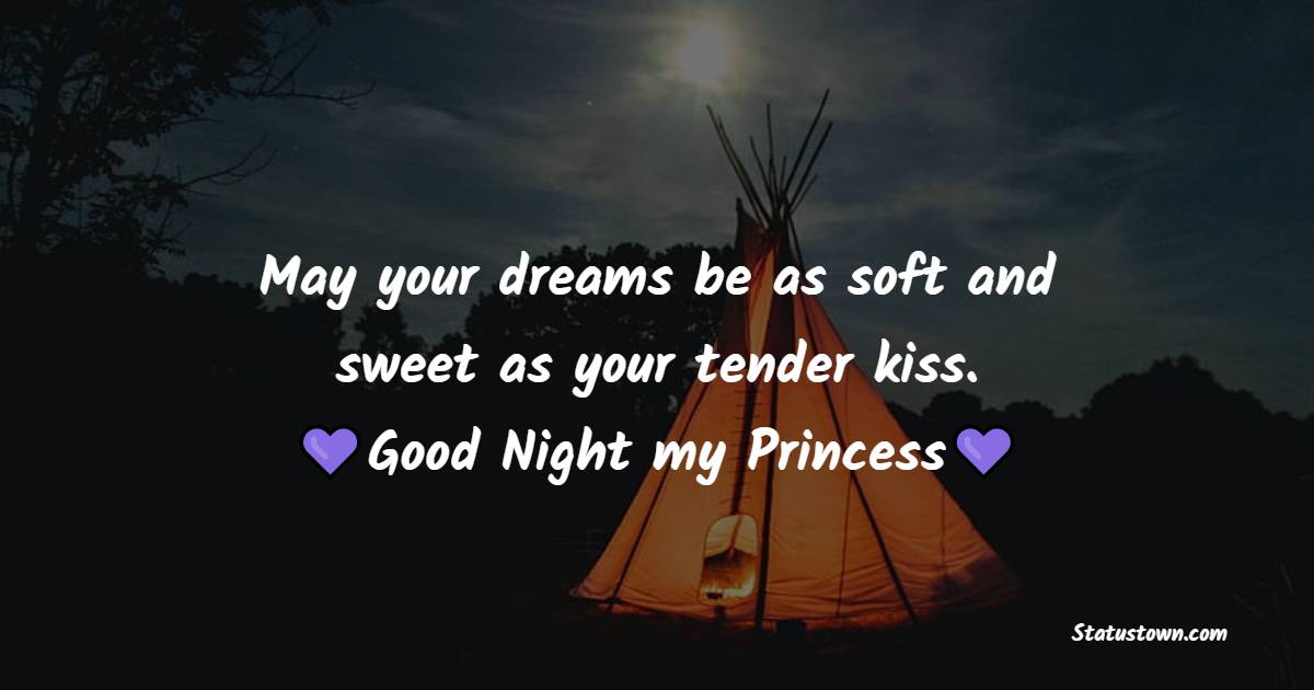 May your dreams be as soft and sweet as your tender kiss. Good night my Princess.