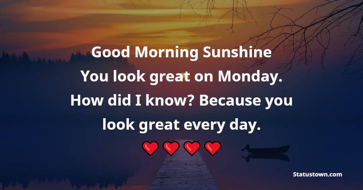 Good Morning Sunshine! You look great on Monday. How did I know? Because you look great every day. - Happy Monday Messages 