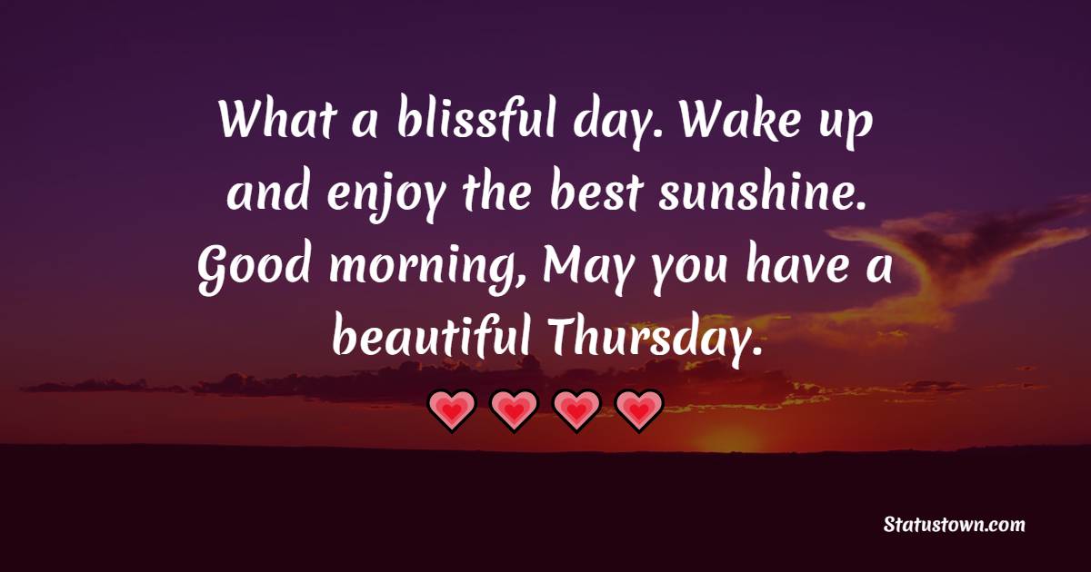 What a blissful day. Wake up and enjoy the best sunshine. Good morning, May you have a beautiful Thursday.