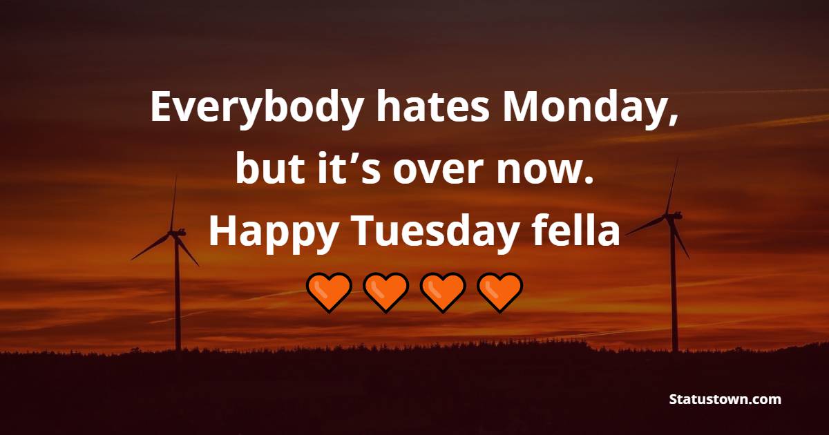 Everybody hates Monday, but it’s over now. Happy Tuesday fella.