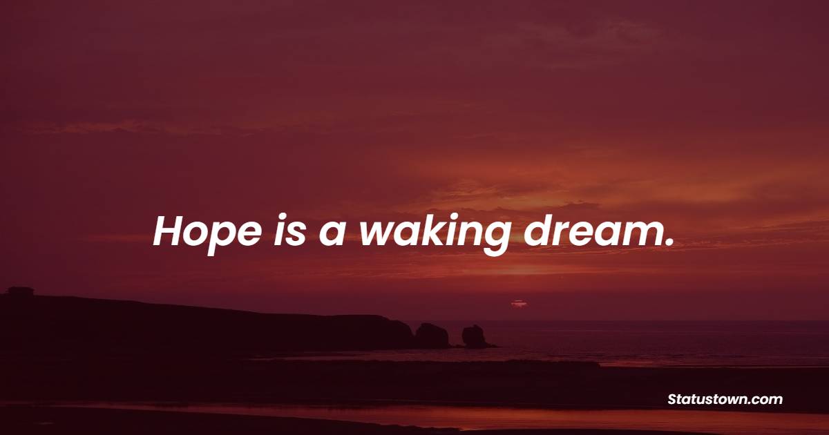 Hope is a waking dream. - Hope Quotes 