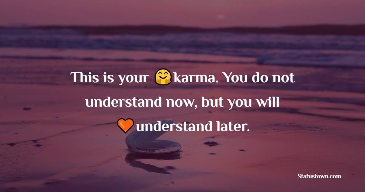 This is your karma. You do not understand now, but you will understand later. - Karma Status and Messages
