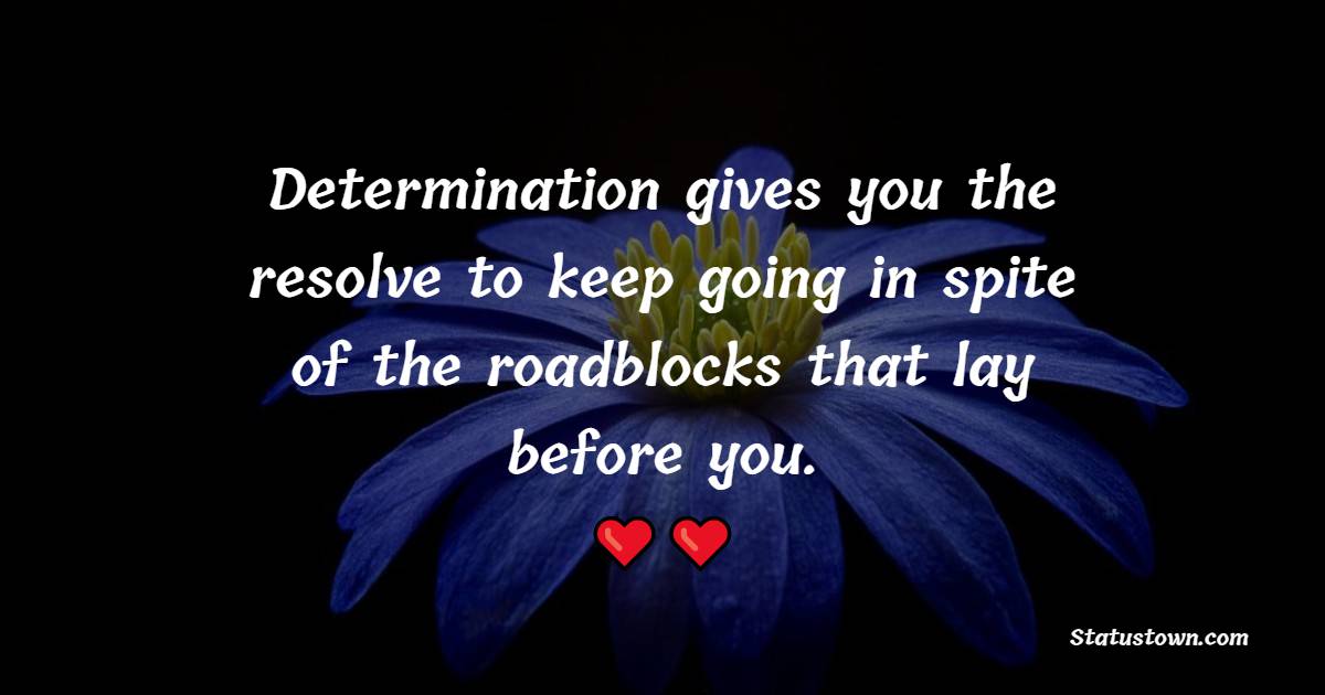 Determination gives you the resolve to keep going in spite of the roadblocks that lay before you. - Keep Going Quotes 