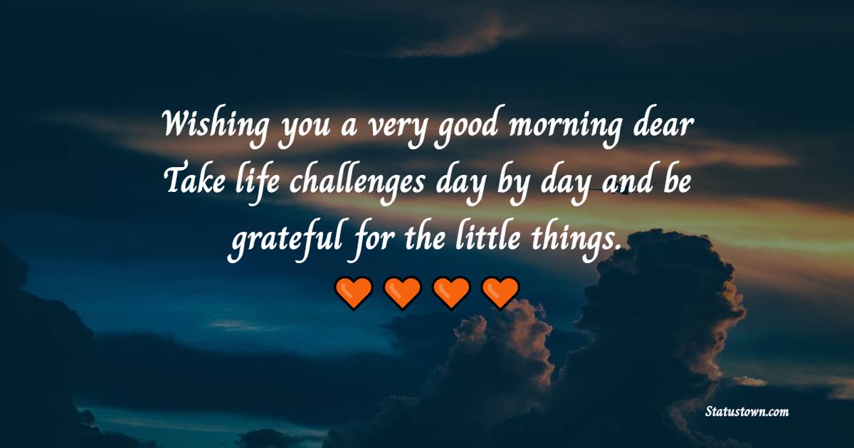 Wishing you a very good morning, dear! Take life challenges day by day and be grateful for the little things. - Morning Motivational Quotes 