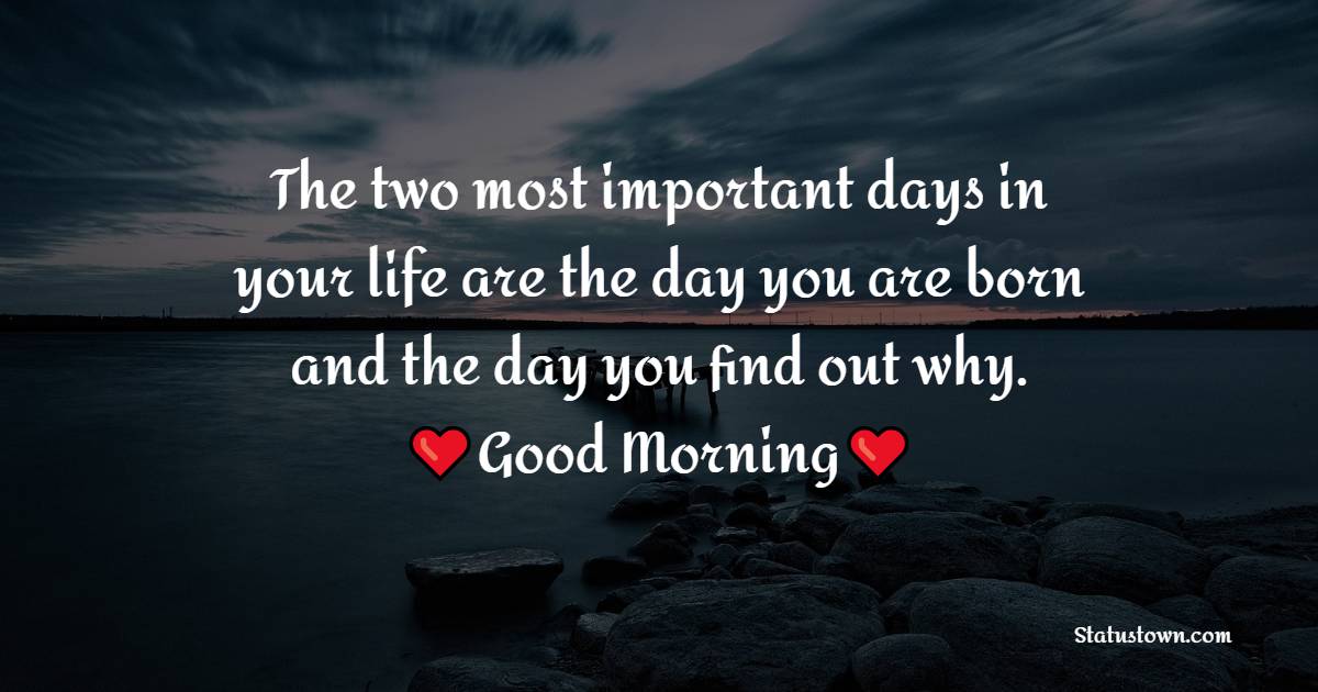 The two most important days in your life are the day you are born and the day you find out why.”