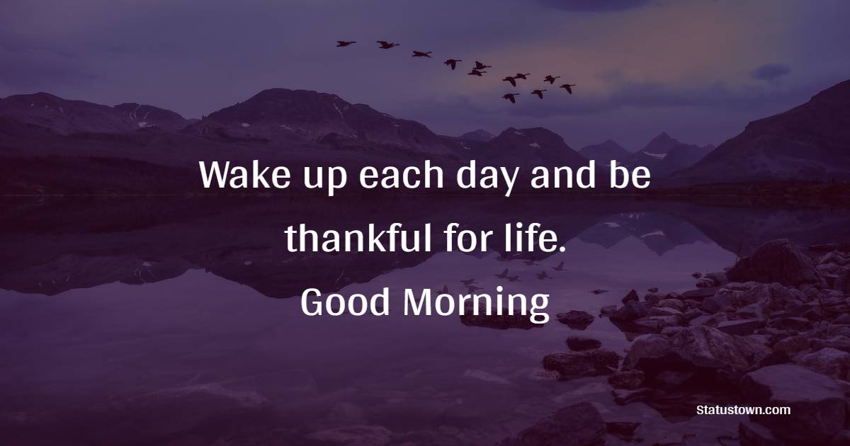 Wake up each day and be thankful for life. Good Morning