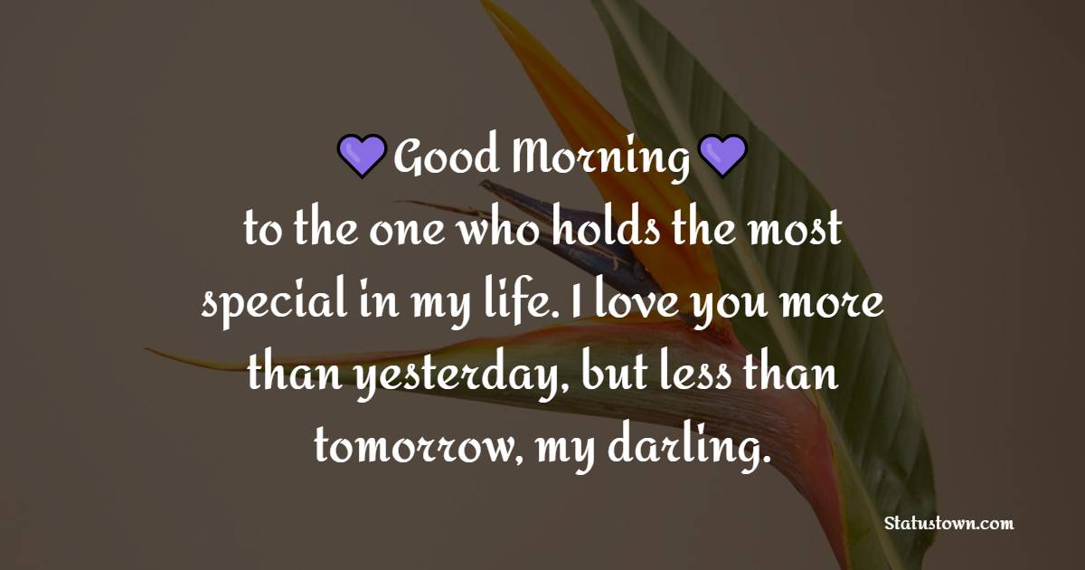 Good Morning to the one who holds the most special in my life. I love you more than yesterday, but less than tomorrow, my darling. - Romantic Good Morning Messages 